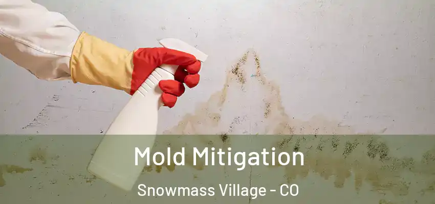 Mold Mitigation Snowmass Village - CO