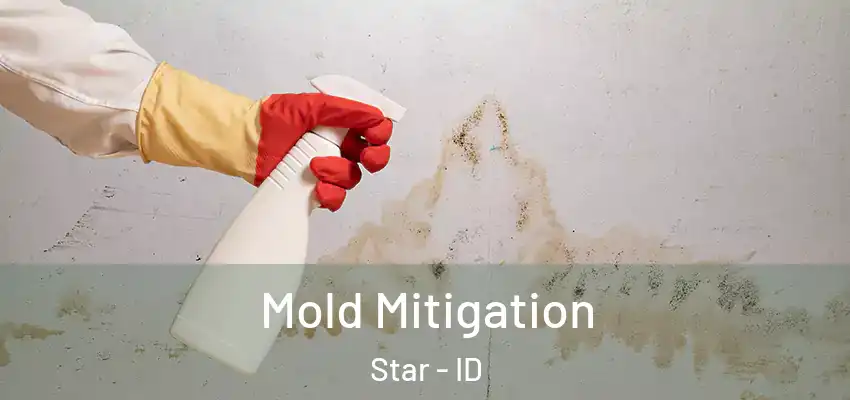 Mold Mitigation Star - ID