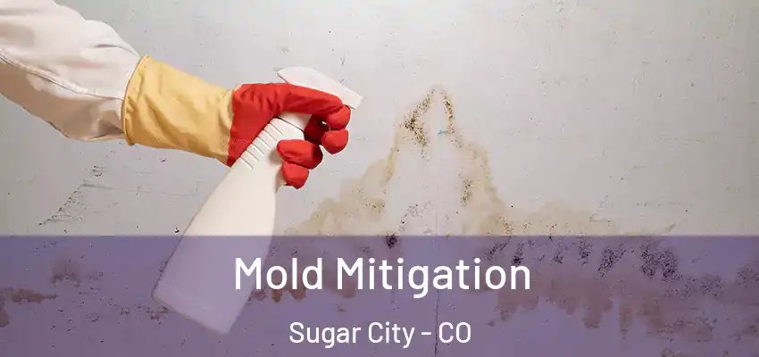 Mold Mitigation Sugar City - CO