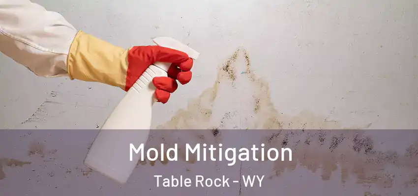  Mold Mitigation Table Rock - WY