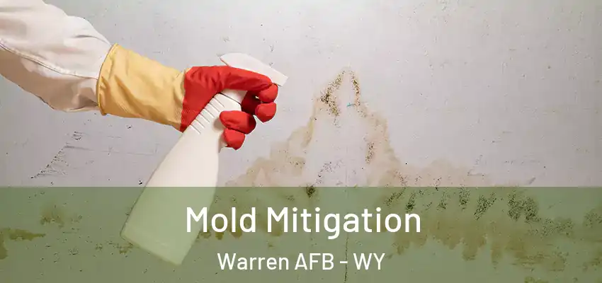  Mold Mitigation Warren AFB - WY