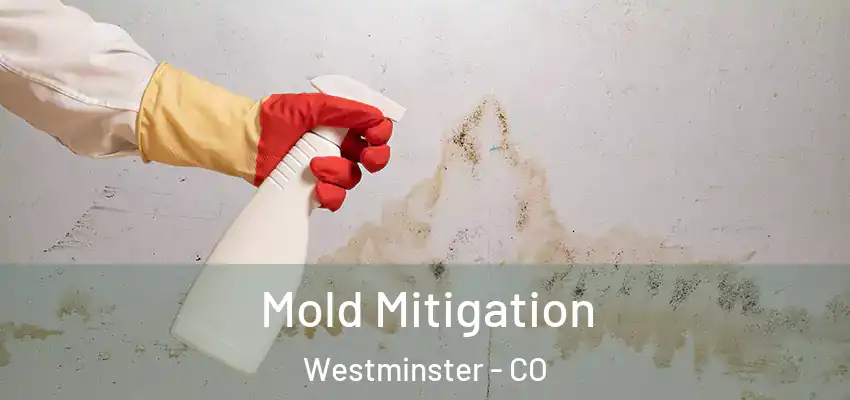  Mold Mitigation Westminster - CO