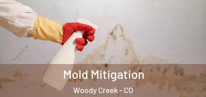 Mold Mitigation Woody Creek - CO