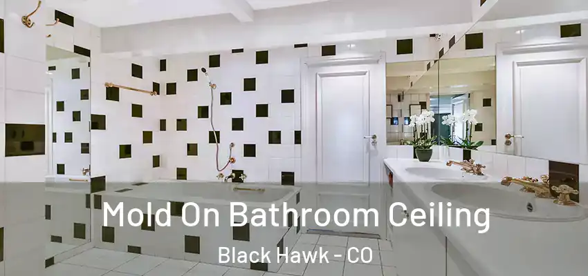  Mold On Bathroom Ceiling Black Hawk - CO