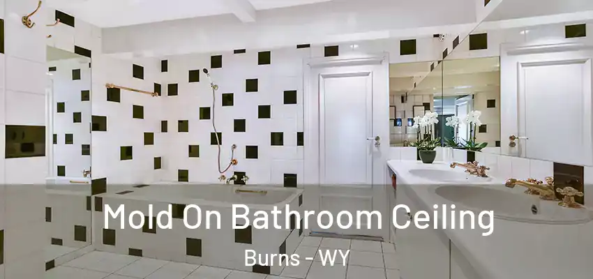  Mold On Bathroom Ceiling Burns - WY