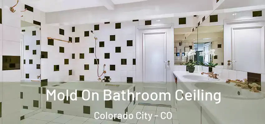  Mold On Bathroom Ceiling Colorado City - CO