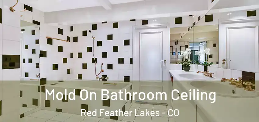  Mold On Bathroom Ceiling Red Feather Lakes - CO