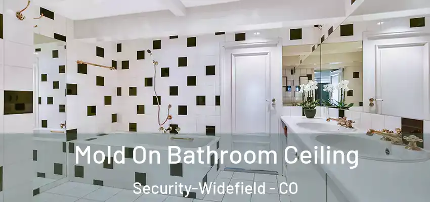 Mold On Bathroom Ceiling Security-Widefield - CO
