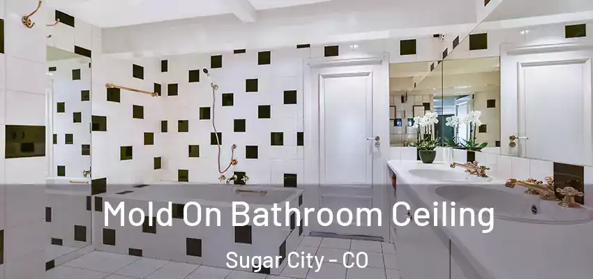 Mold On Bathroom Ceiling Sugar City - CO