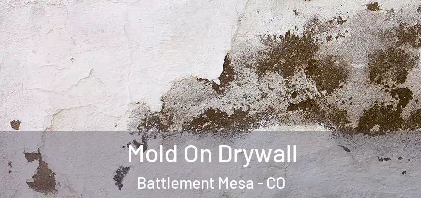 Mold On Drywall Battlement Mesa - CO