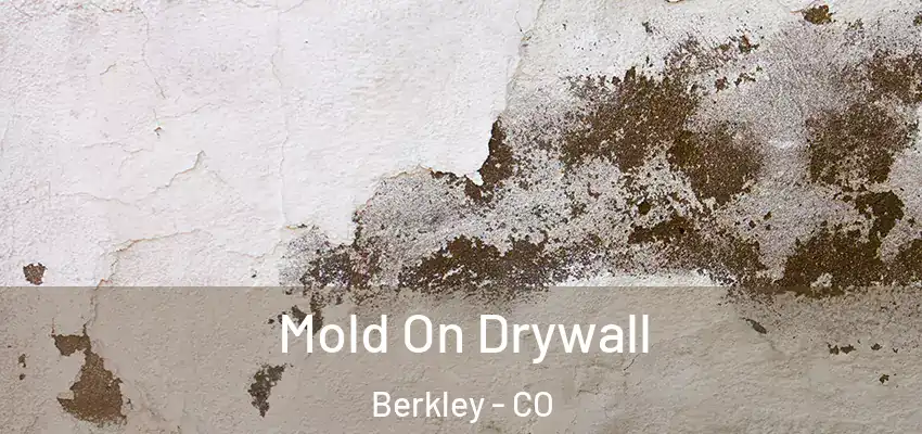 Mold On Drywall Berkley - CO