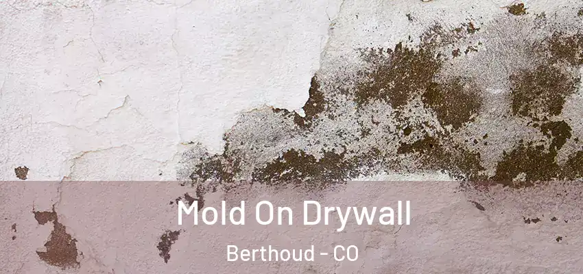  Mold On Drywall Berthoud - CO