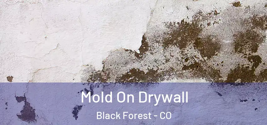 Mold On Drywall Black Forest - CO