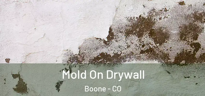  Mold On Drywall Boone - CO