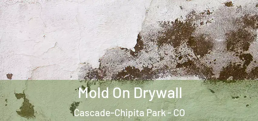 Mold On Drywall Cascade-Chipita Park - CO