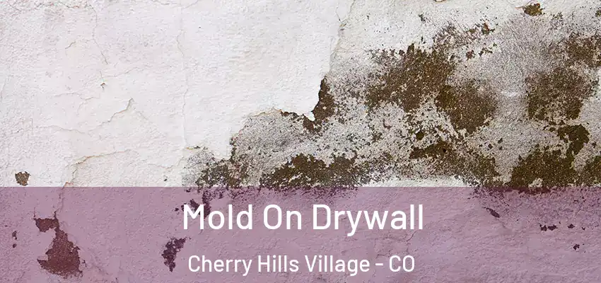  Mold On Drywall Cherry Hills Village - CO
