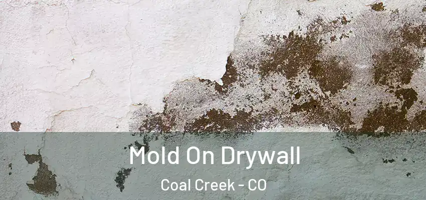 Mold On Drywall Coal Creek - CO