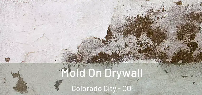  Mold On Drywall Colorado City - CO