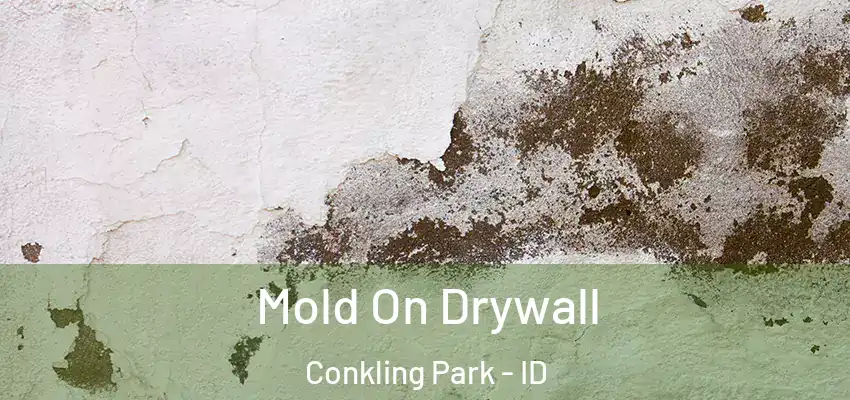  Mold On Drywall Conkling Park - ID