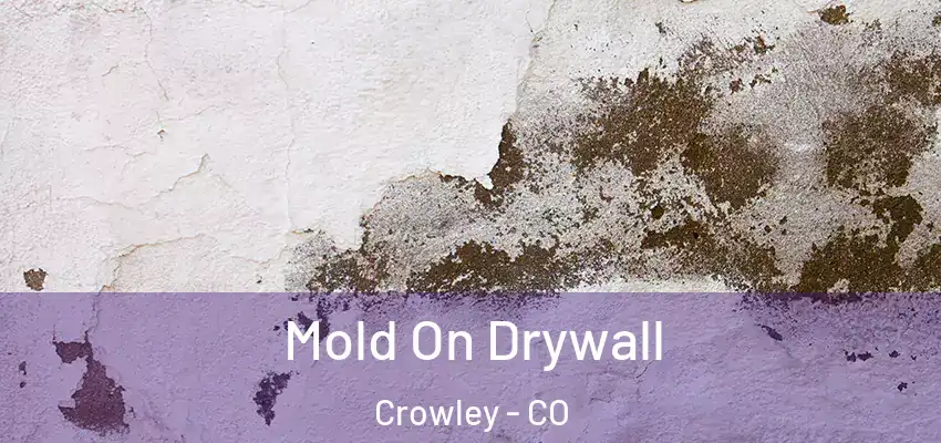 Mold On Drywall Crowley - CO