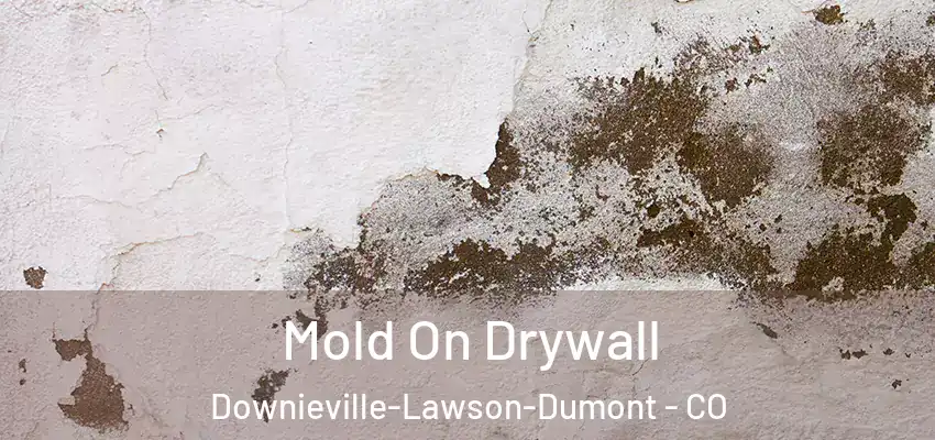  Mold On Drywall Downieville-Lawson-Dumont - CO