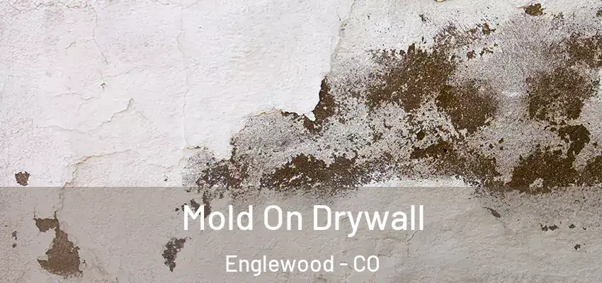 Mold On Drywall Englewood - CO