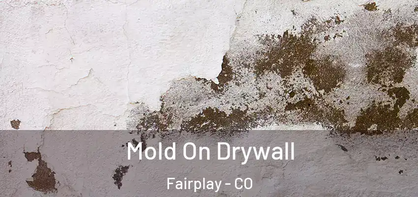 Mold On Drywall Fairplay - CO