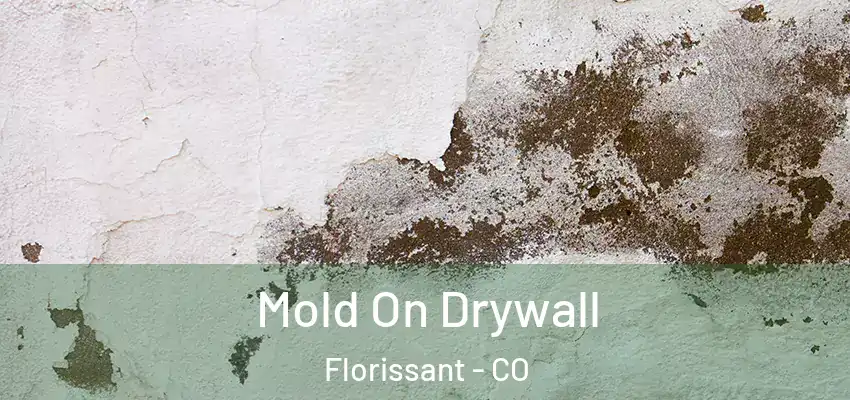 Mold On Drywall Florissant - CO