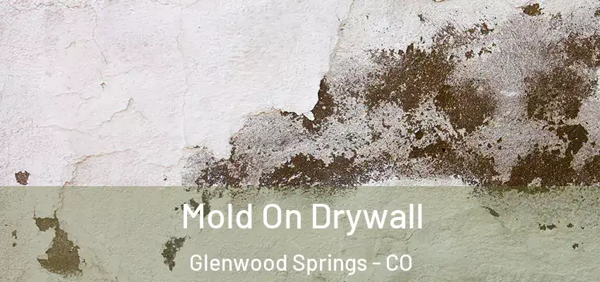  Mold On Drywall Glenwood Springs - CO
