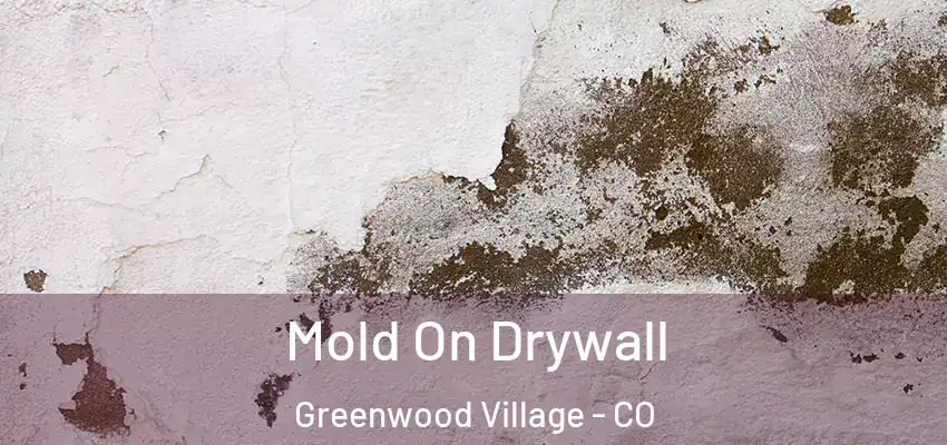  Mold On Drywall Greenwood Village - CO