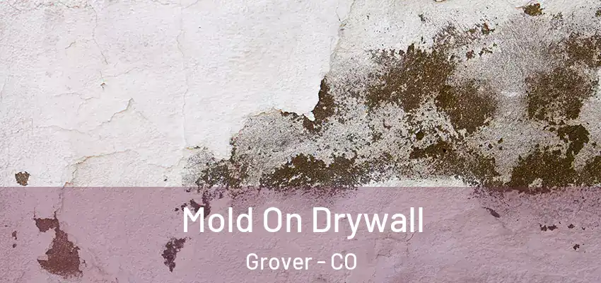 Mold On Drywall Grover - CO