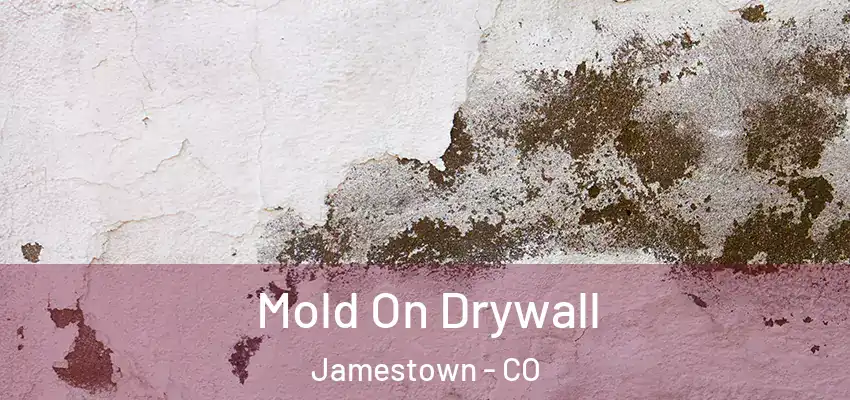 Mold On Drywall Jamestown - CO