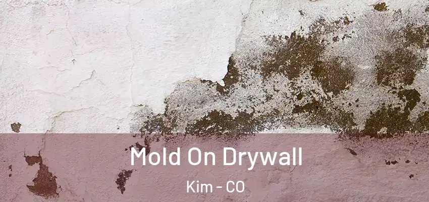 Mold On Drywall Kim - CO
