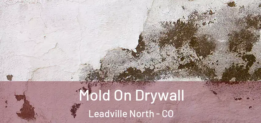 Mold On Drywall Leadville North - CO
