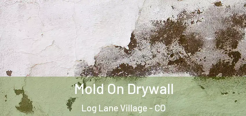  Mold On Drywall Log Lane Village - CO