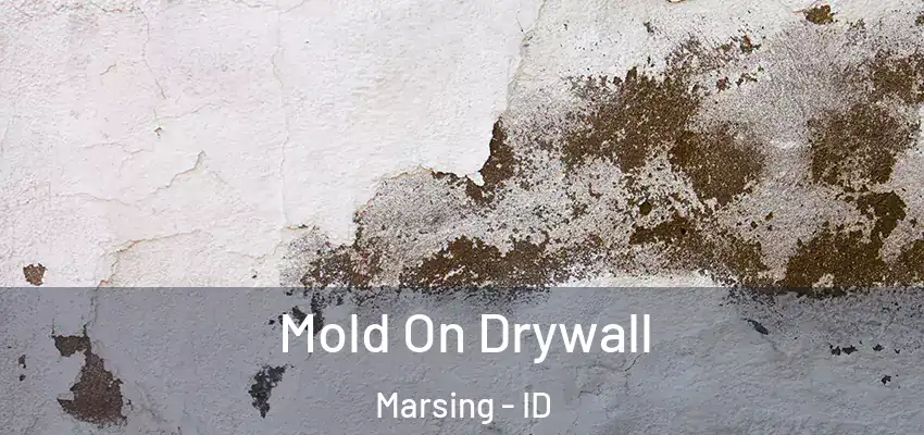  Mold On Drywall Marsing - ID