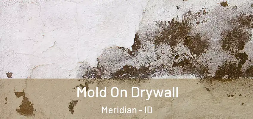 Mold On Drywall Meridian - ID