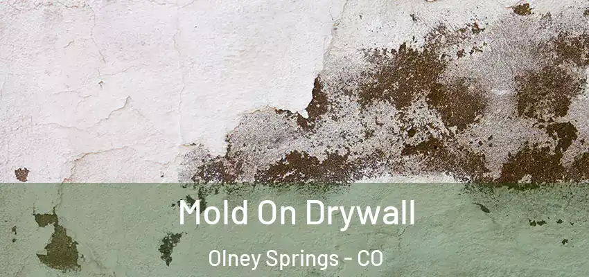 Mold On Drywall Olney Springs - CO