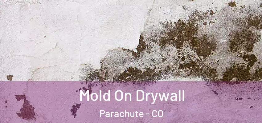 Mold On Drywall Parachute - CO