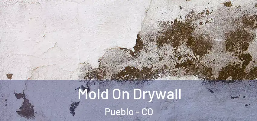  Mold On Drywall Pueblo - CO