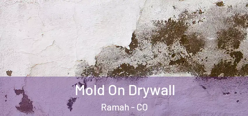  Mold On Drywall Ramah - CO
