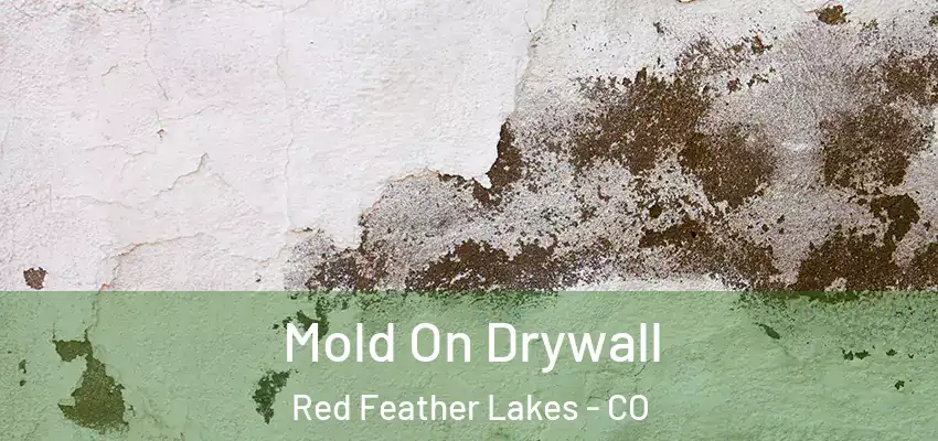  Mold On Drywall Red Feather Lakes - CO
