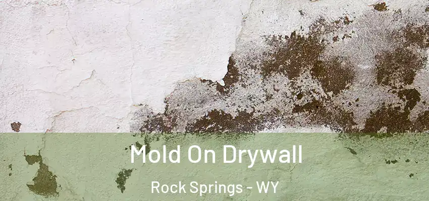  Mold On Drywall Rock Springs - WY