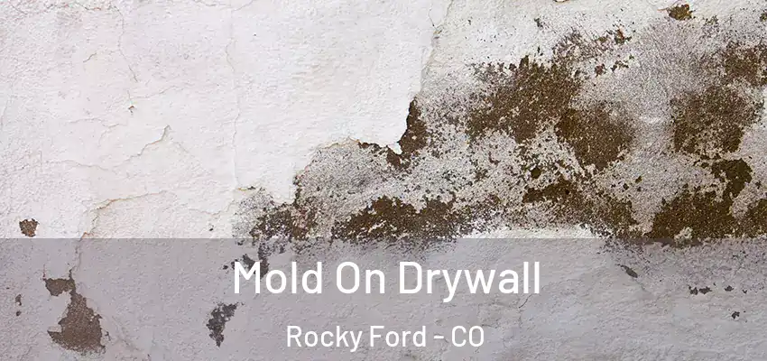  Mold On Drywall Rocky Ford - CO
