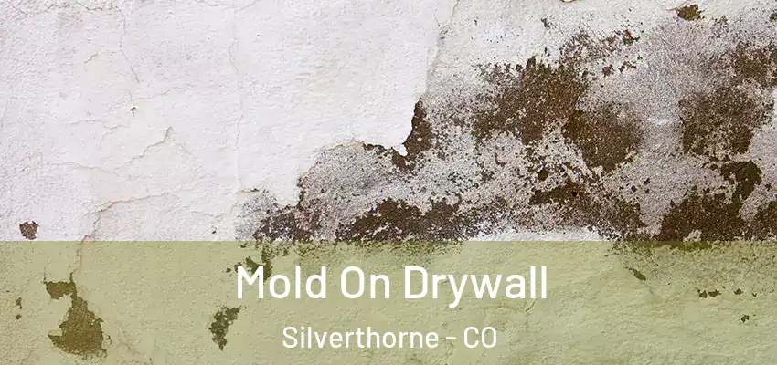 Mold On Drywall Silverthorne - CO