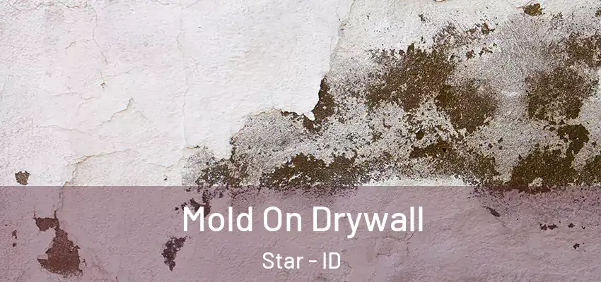  Mold On Drywall Star - ID
