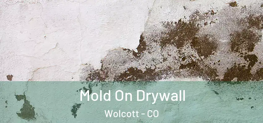  Mold On Drywall Wolcott - CO