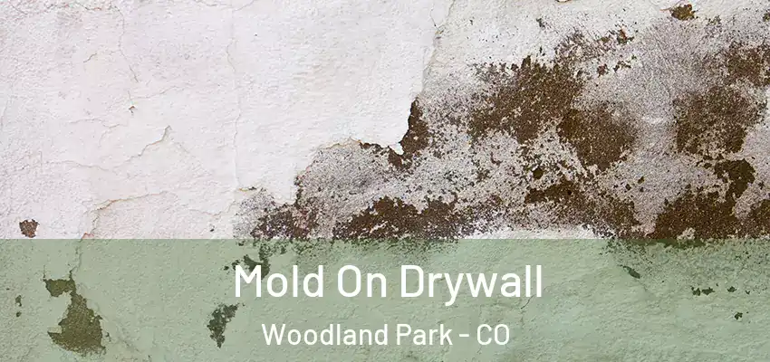  Mold On Drywall Woodland Park - CO