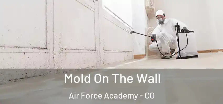 Mold On The Wall Air Force Academy - CO