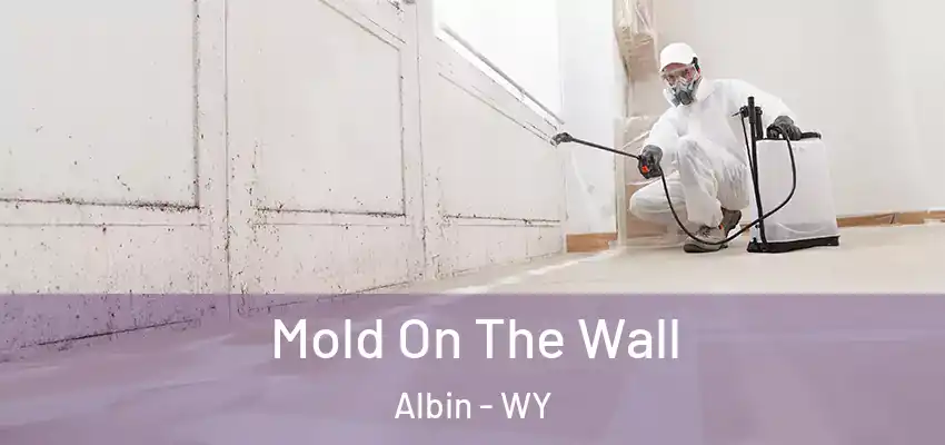  Mold On The Wall Albin - WY